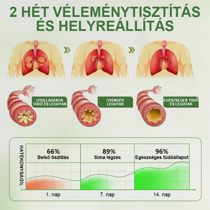 🏆Timilk® Növényi Alapú Tüdőápoló Hólyaghéj Diffúzor